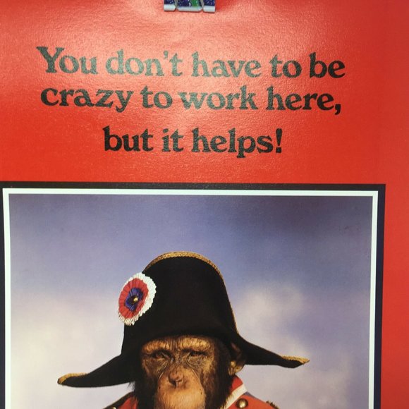 Chimpanzee Napoleon Don't Have To Be Crazy Poster - Picture 2 of 4